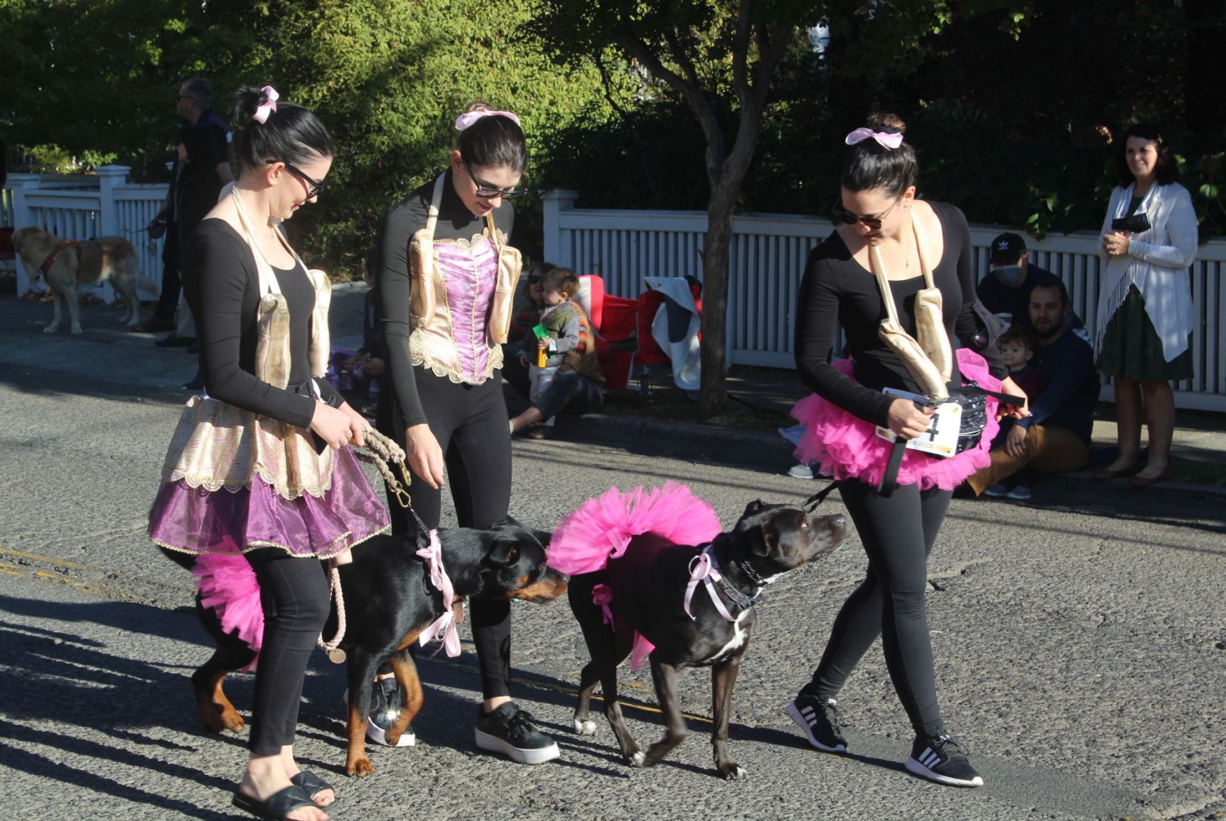Pet Parade